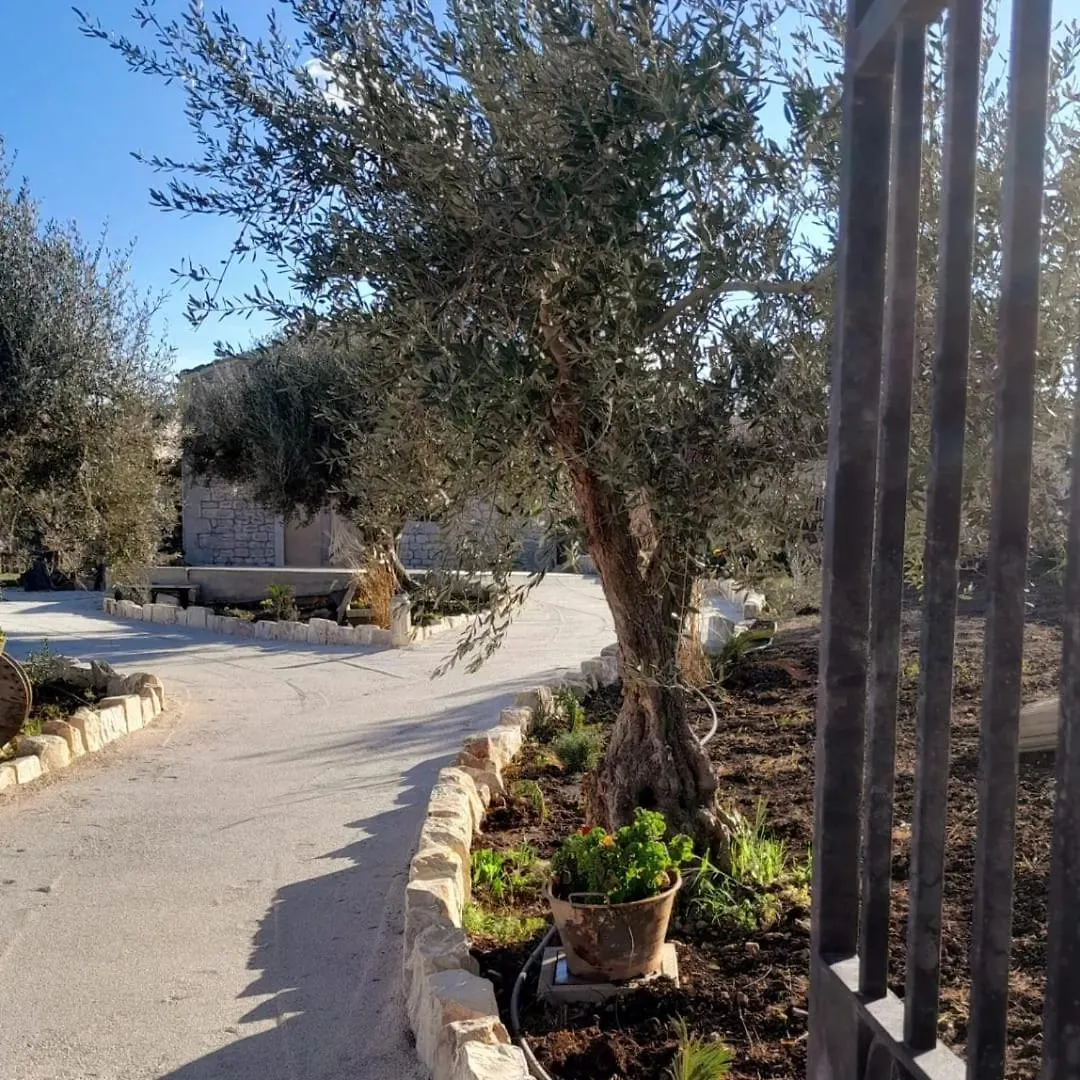Holiday home Dimore Del Monte Limoni ,Ulivo Modica Italy